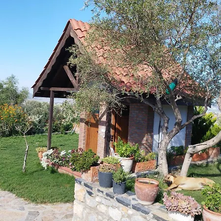 Hotel Olive Garden Retreat Milas