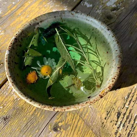 Olive Garden Retreat ホテル Milas