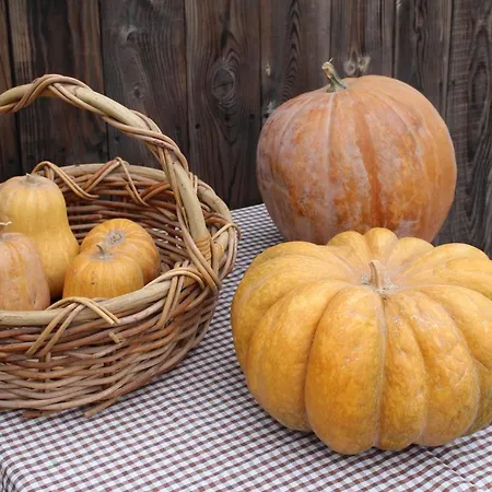 Hotel Olive Garden Retreat