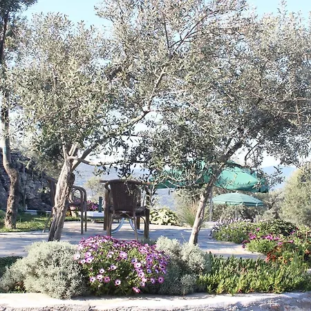 Olive Garden Retreat Hotel *