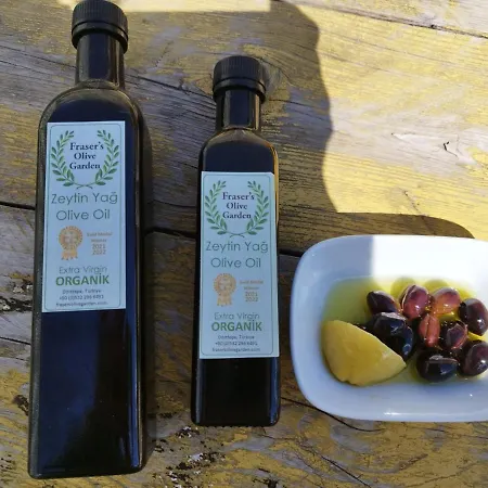 Hotel Olive Garden Retreat