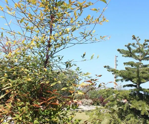 Olive Garden Retreat Milas