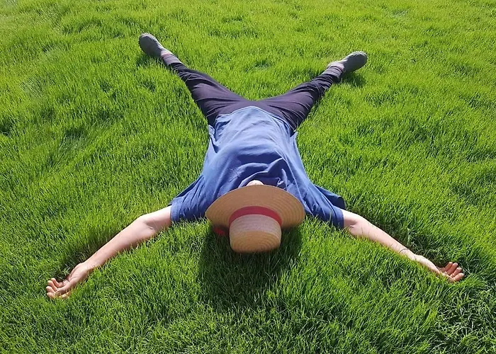 Olive Garden Retreat Hotel