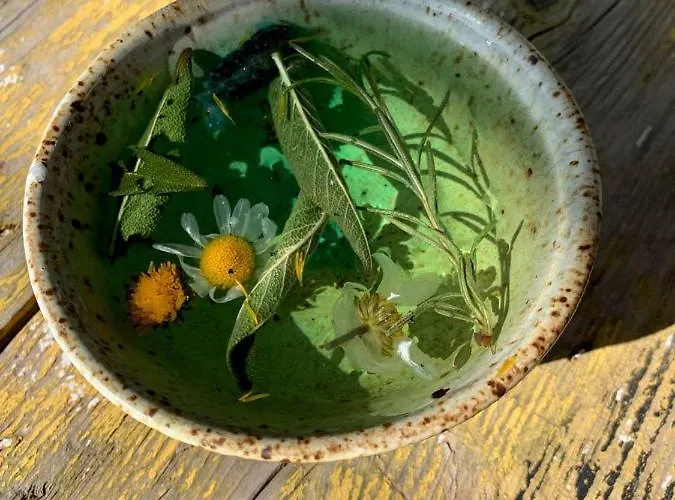 Olive Garden Retreat Szálloda Milas