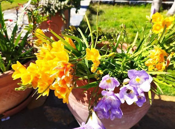 Olive Garden Retreat Szálloda Milas