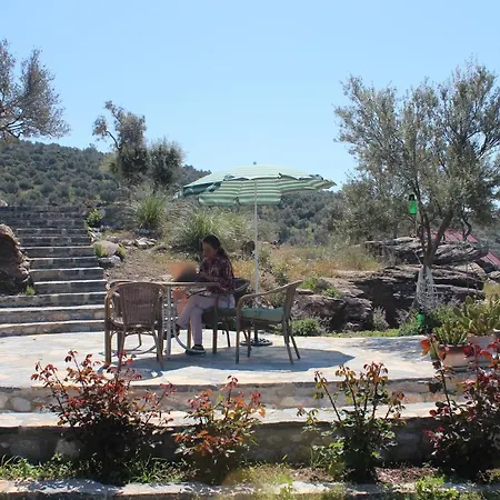 Olive Garden Retreat Hotel