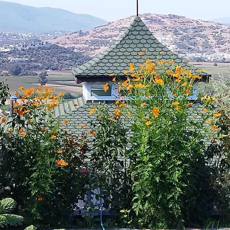 Olive Garden Retreat Hotel *