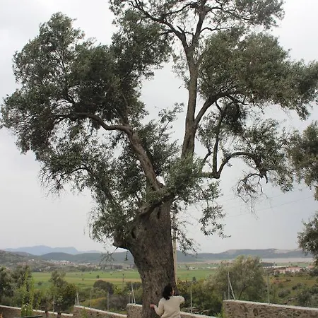 Olive Garden Retreat Milas