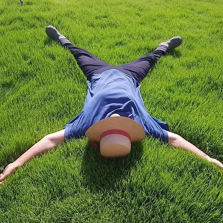 Olive Garden Retreat Otel