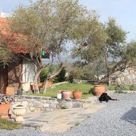 Olive Garden Retreat *