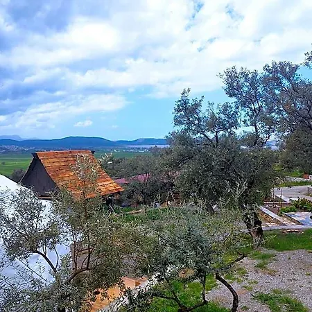 Olive Garden Retreat 酒店 Milas