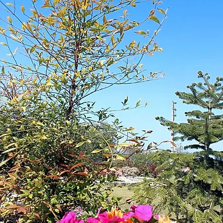 酒店 Olive Garden Retreat *