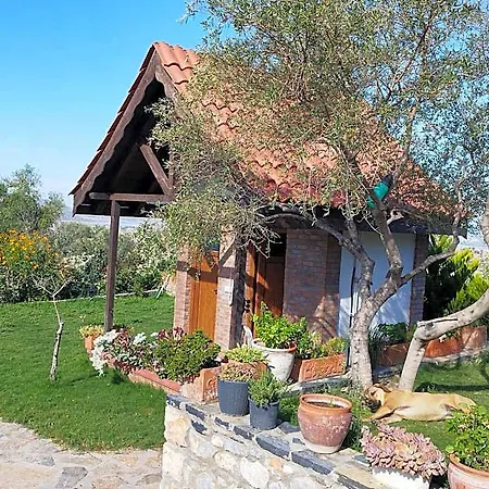 Olive Garden Retreat 酒店 Milas