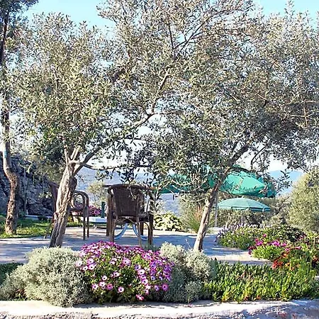 Olive Garden Retreat