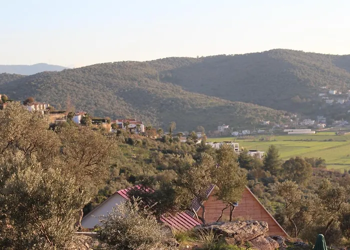 Ξενοδοχείο Olive Garden Retreat *