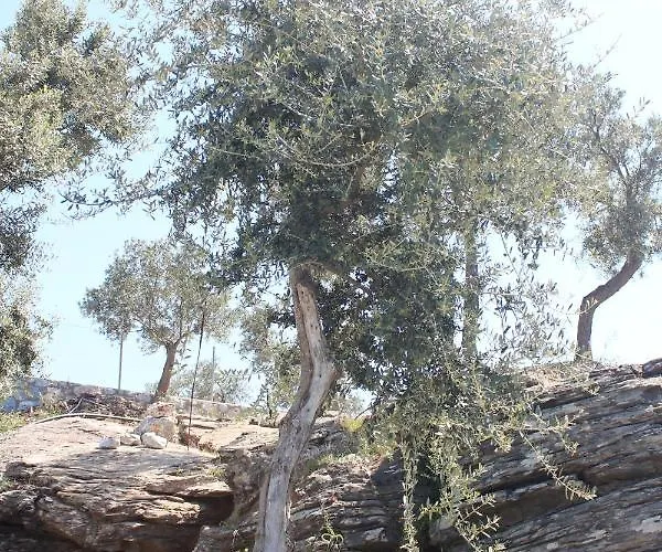 Ξενοδοχείο Olive Garden Retreat Milas