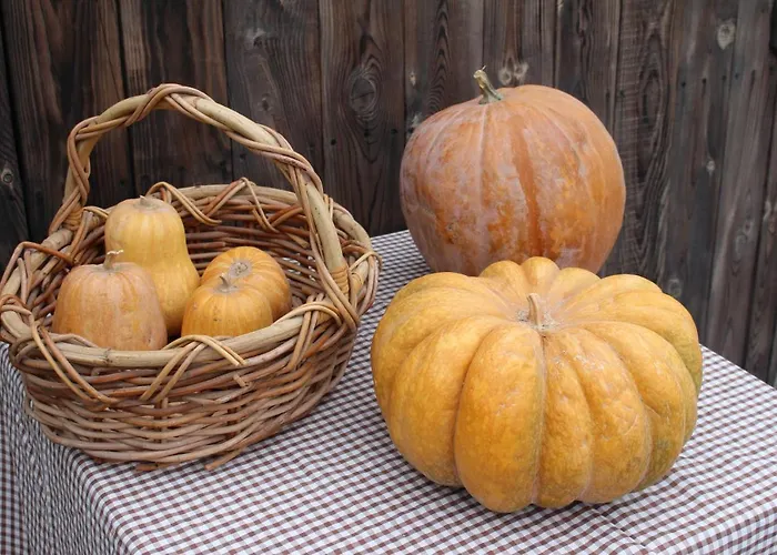 Ξενοδοχείο Olive Garden Retreat