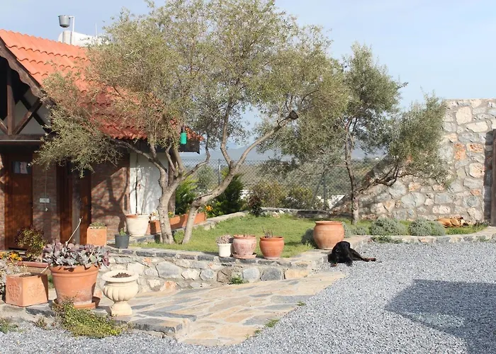 Olive Garden Retreat *